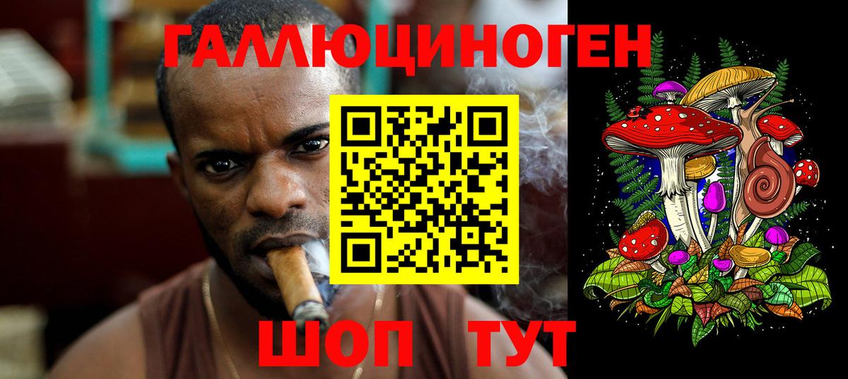 Псилоцибиновые грибы мицелий  Вход с VPN  Когалым  Псилоцибиновые грибы Psilocybe 